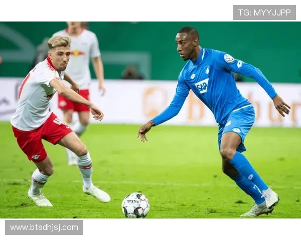 [德甲]进球大战 霍芬海姆战平达姆施塔特.